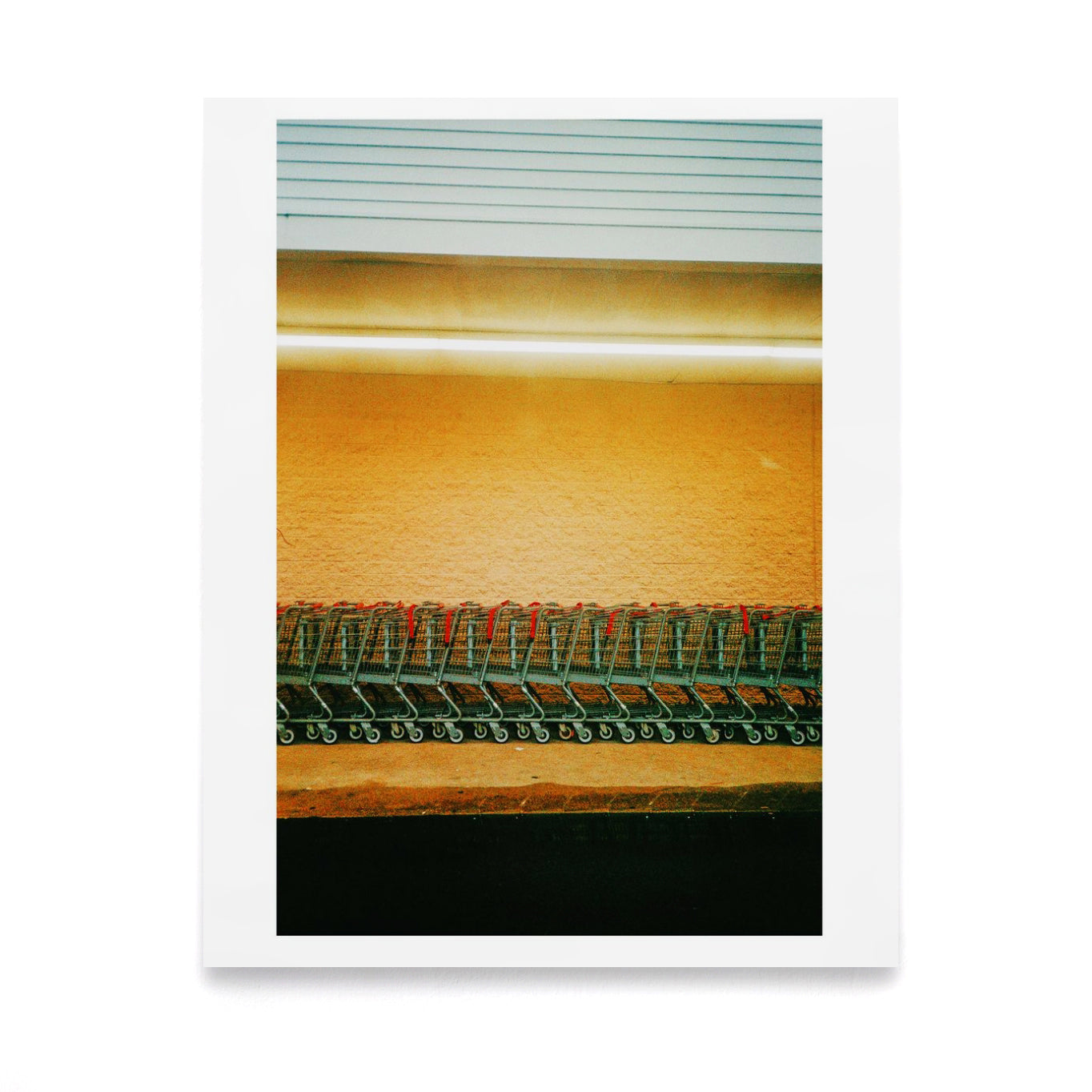 Shopping Carts, New Jersey 2020