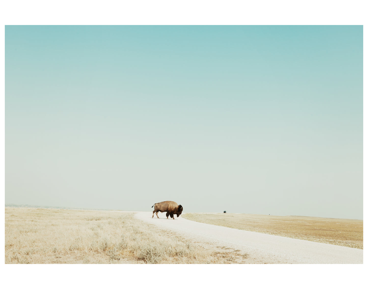 South Dakota, 2026