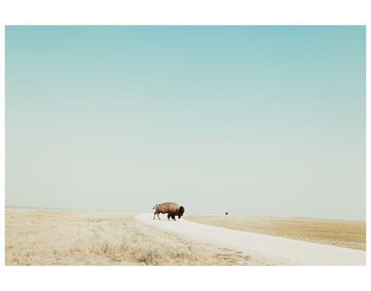 South Dakota, 2026