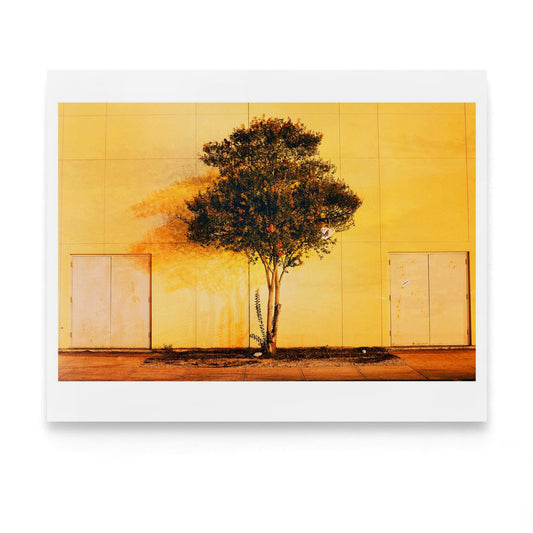 Albaquerque, NM 2017