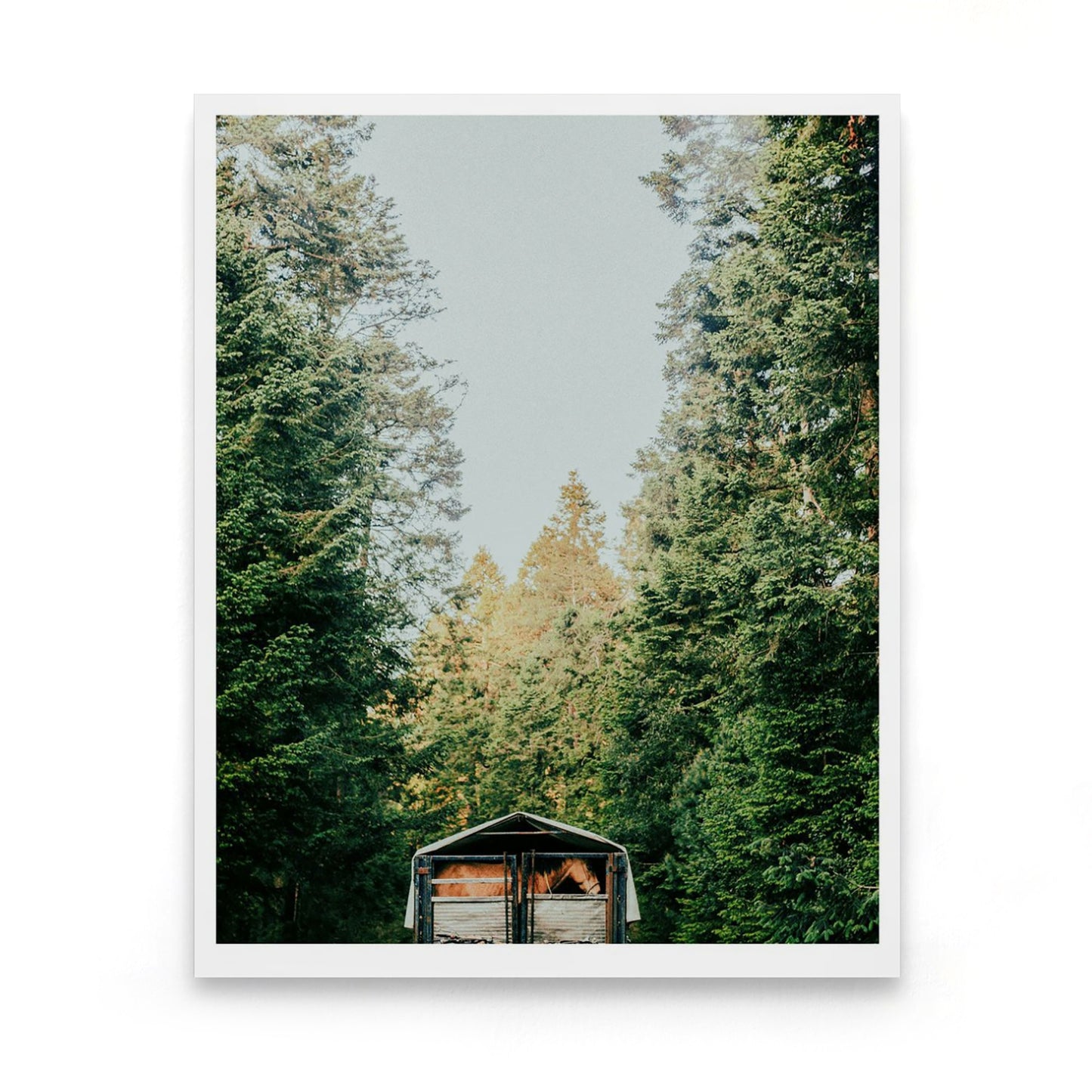 Horses. Ajusco, Mexico 2022