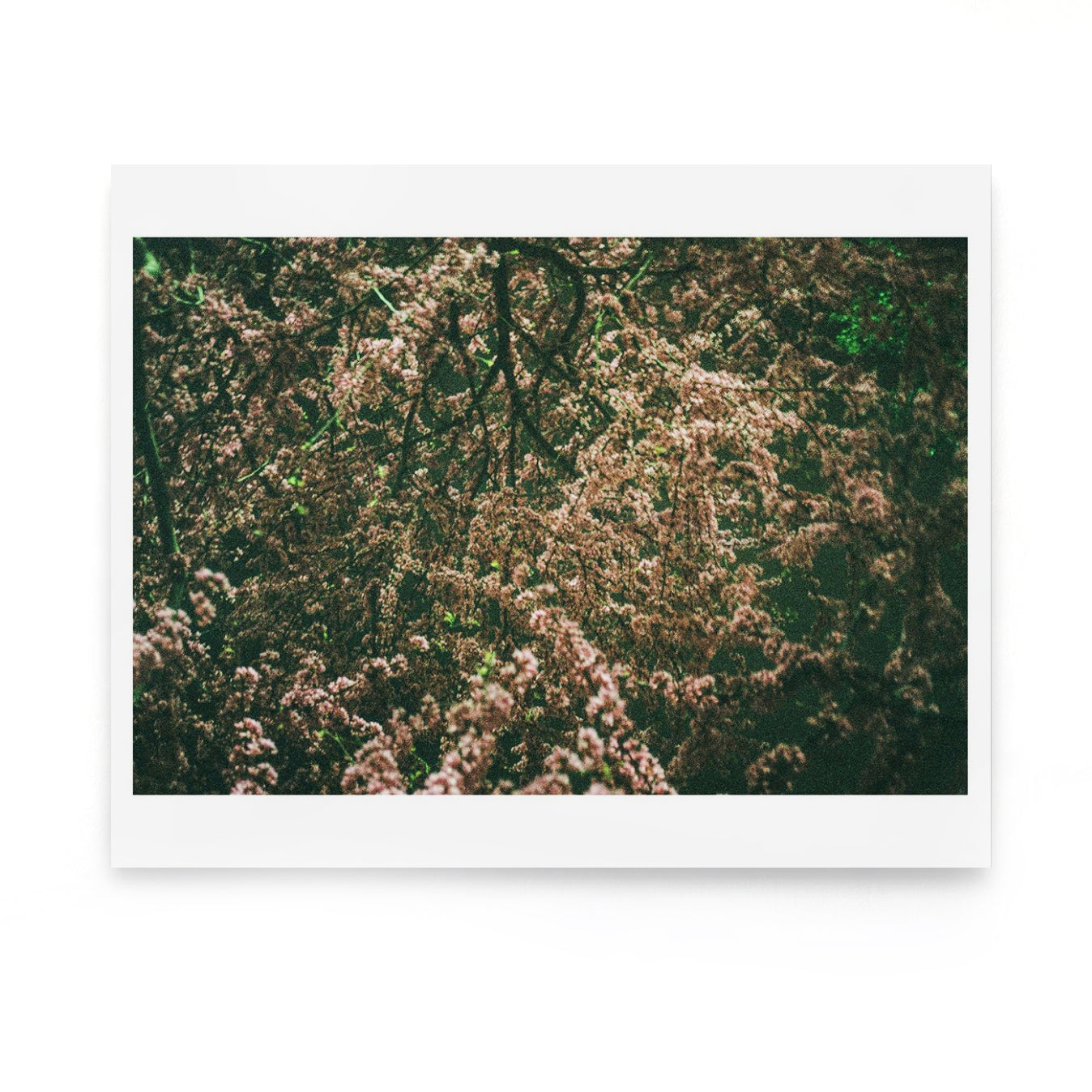 McCarren Park, Brooklyn, NY 2021